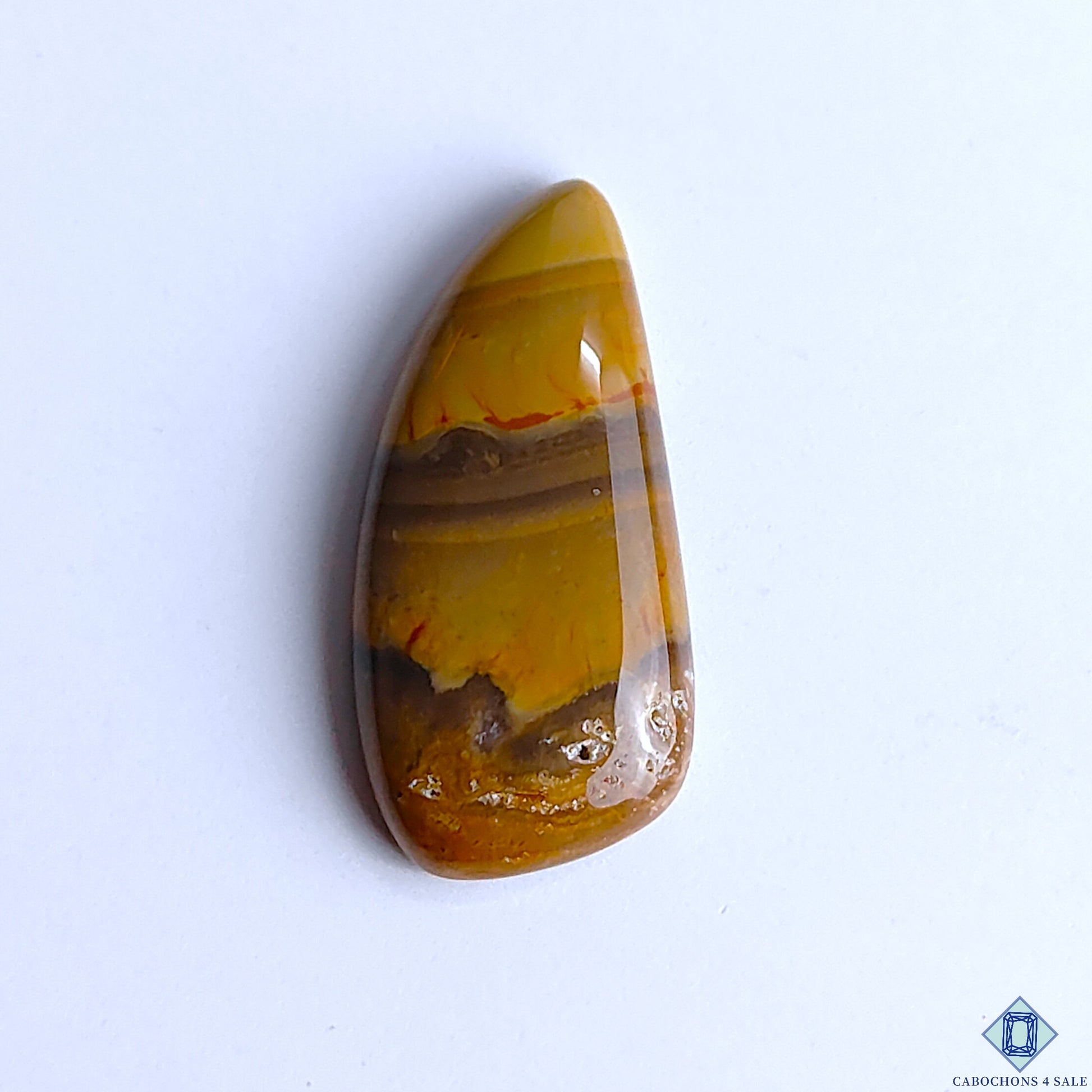 Polychrome Jasper