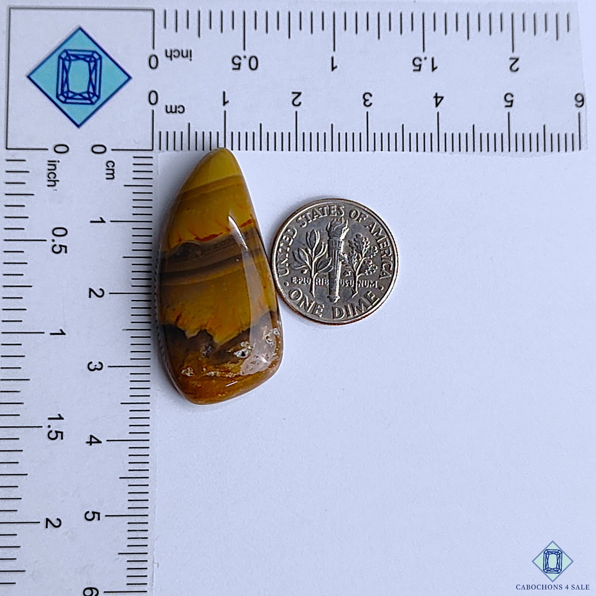 Polychrome Jasper