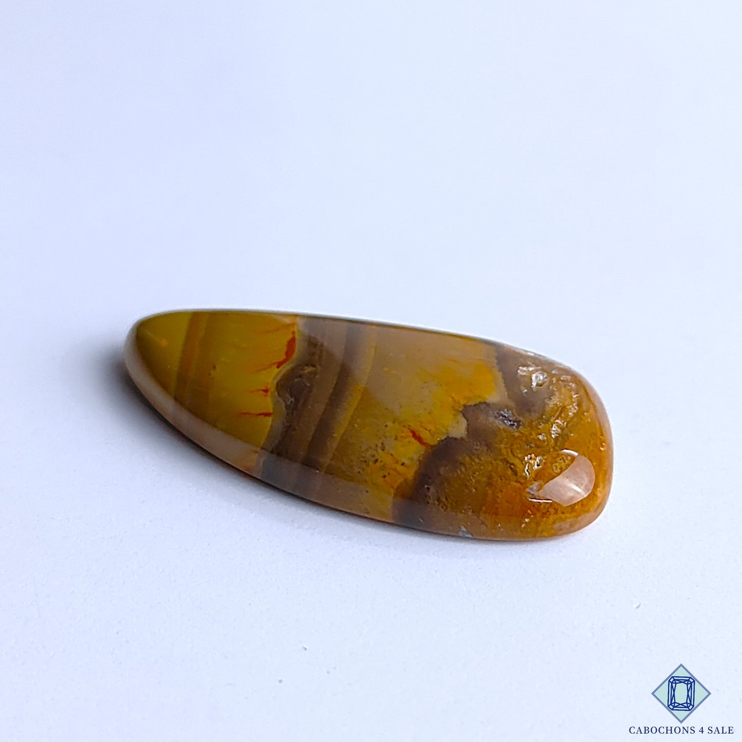Polychrome Jasper