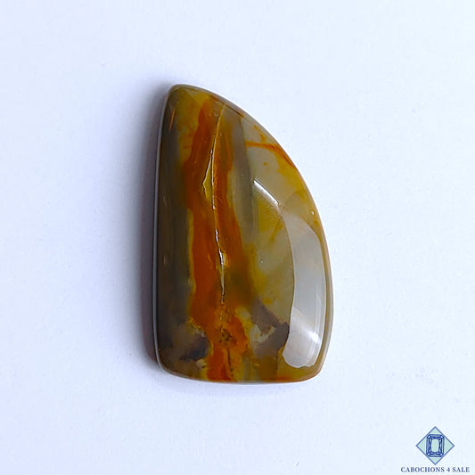 Polychrome Jasper