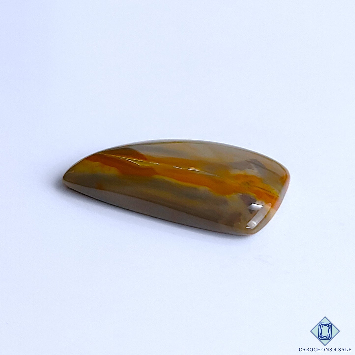Polychrome Jasper