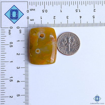 Polychrome Jasper