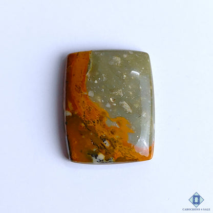Polychrome Jasper