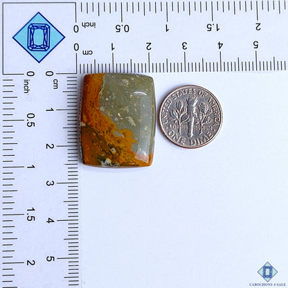 Polychrome Jasper