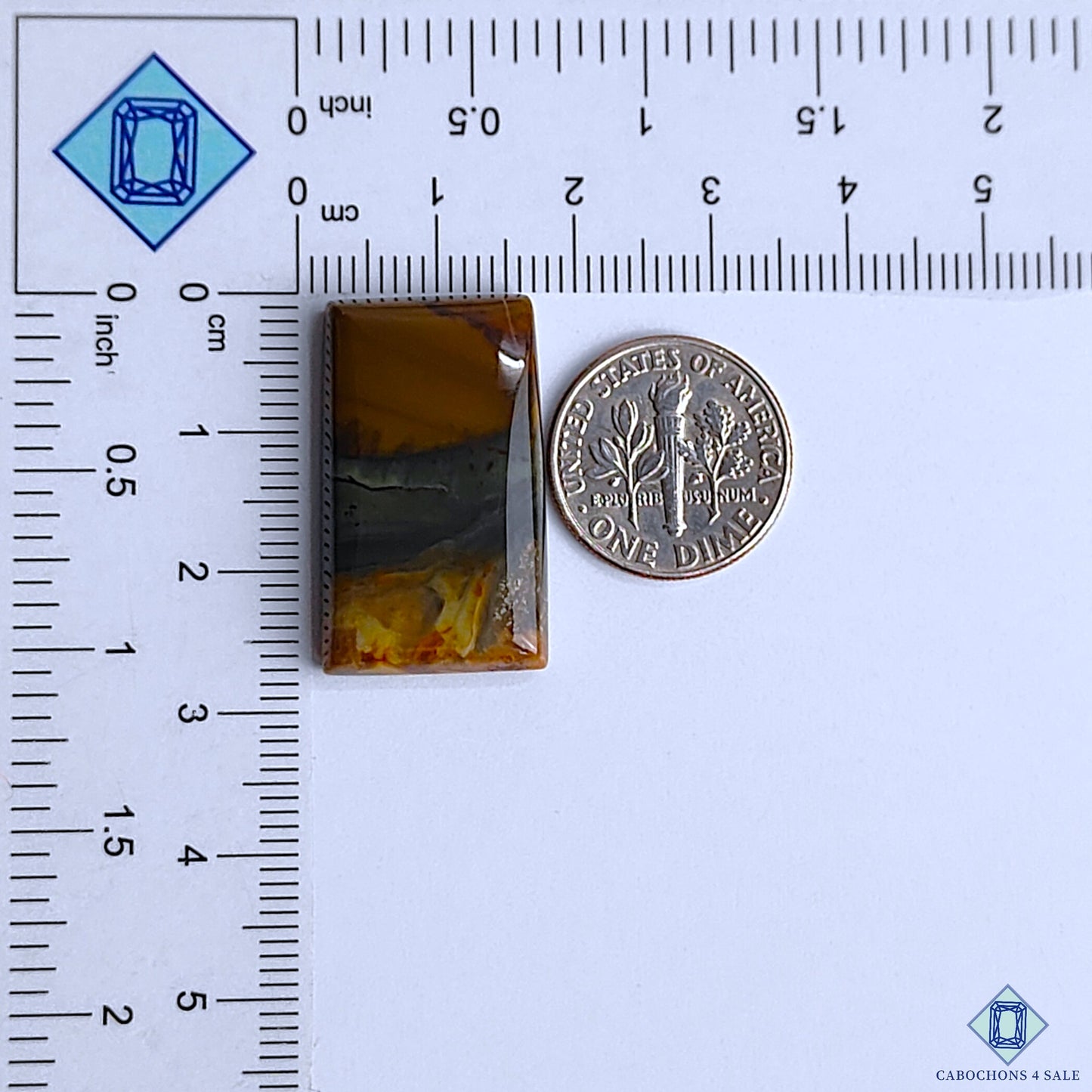 Polychrome Jasper