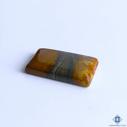Polychrome Jasper