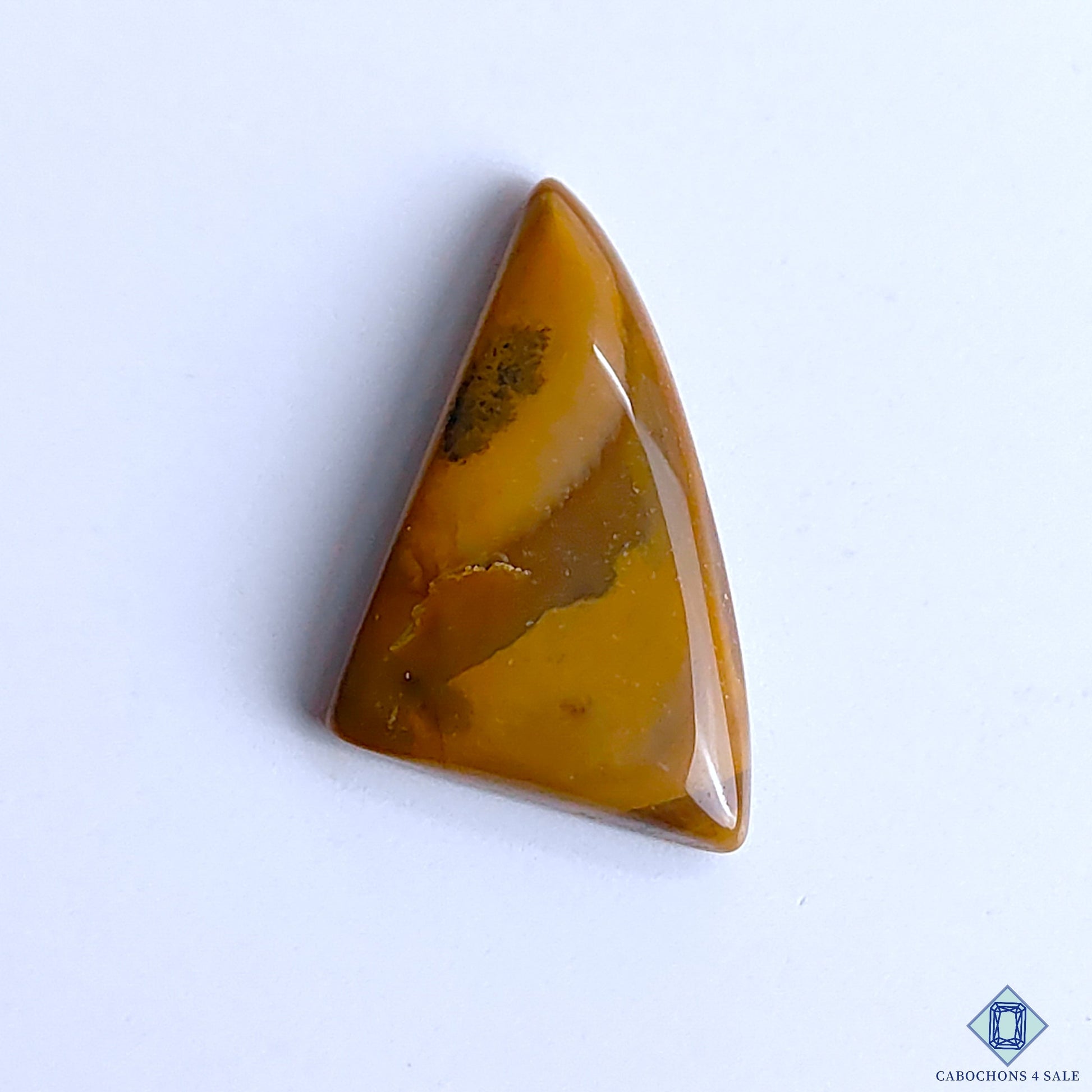 Polychrome Jasper