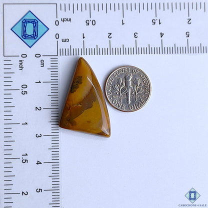 Polychrome Jasper