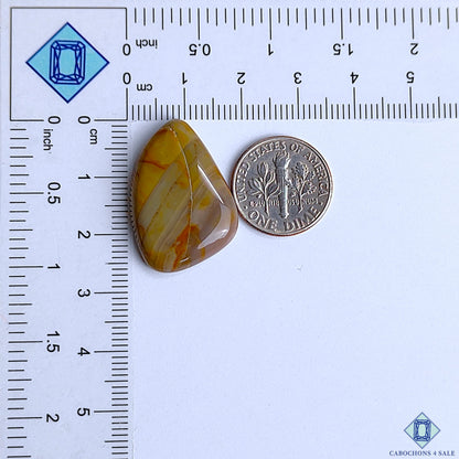 Polychrome Jasper