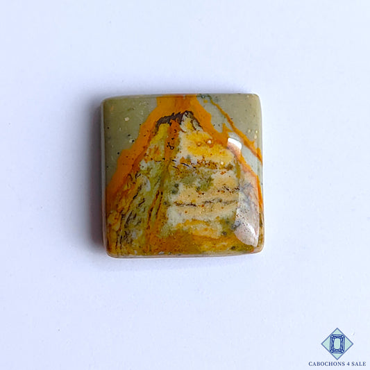 Polychrome Jasper