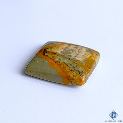 Polychrome Jasper