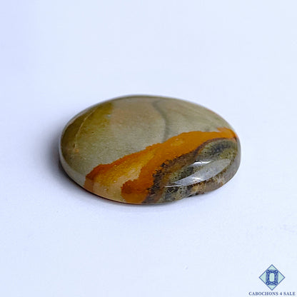 Polychrome Jasper