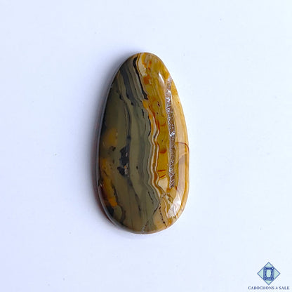 Polychrome Jasper