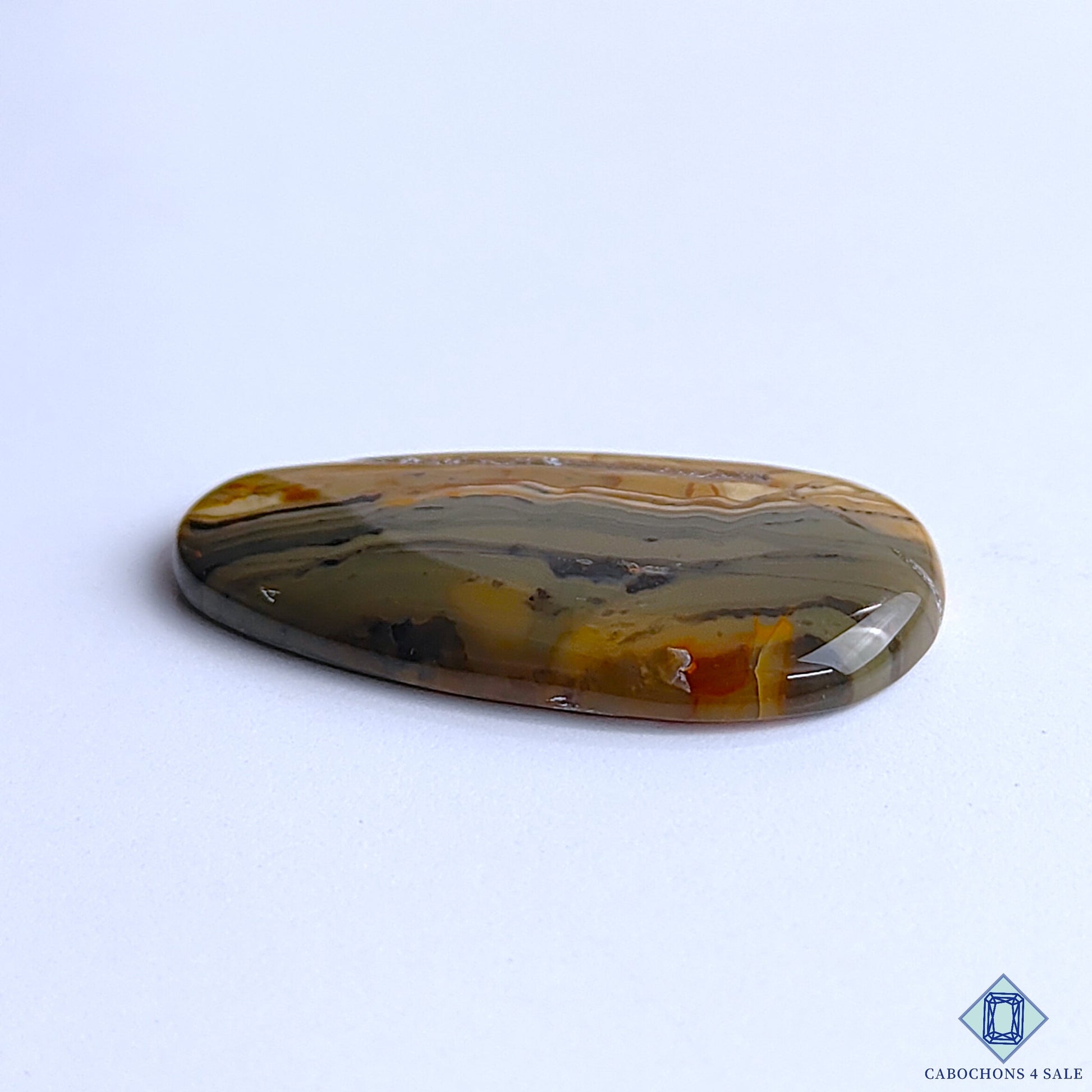 Polychrome Jasper