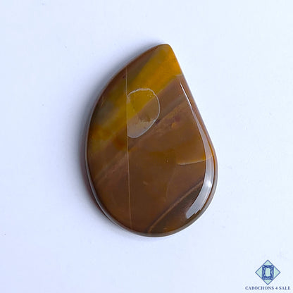Polychrome Jasper