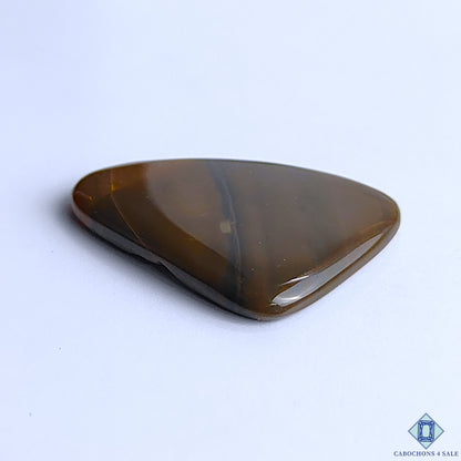 Polychrome Jasper