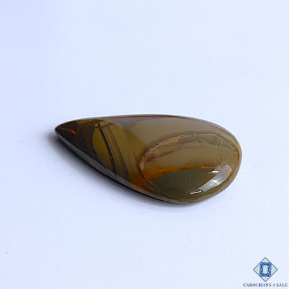 Polychrome Jasper