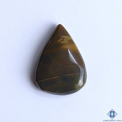 Polychrome Jasper