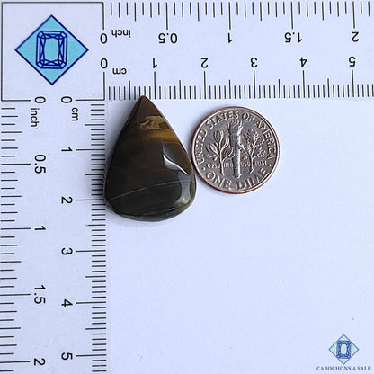 Polychrome Jasper