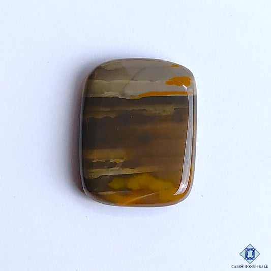 Polychrome Jasper
