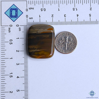 Polychrome Jasper