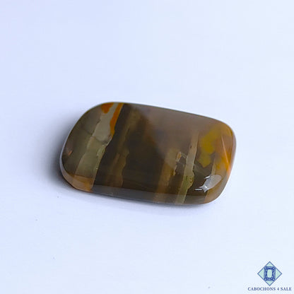Polychrome Jasper