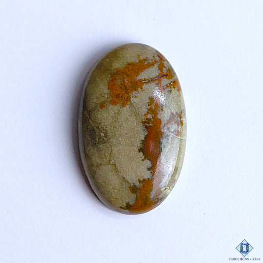 Polychrome Jasper