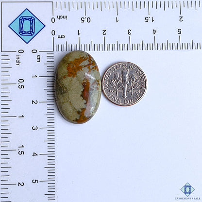 Polychrome Jasper