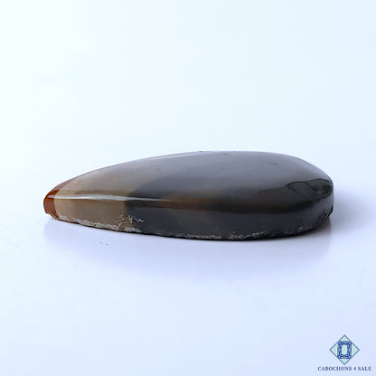 Polychrome Jasper