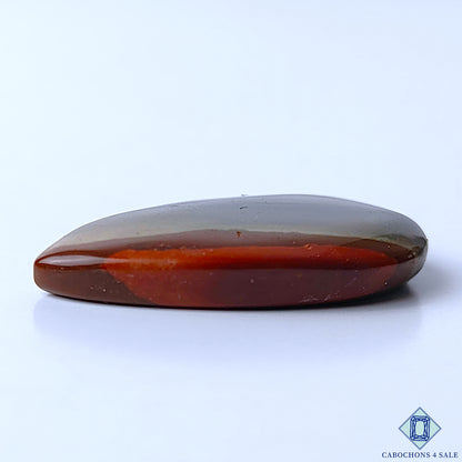 Polychrome Jasper
