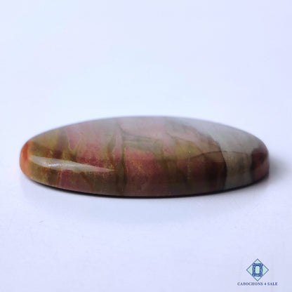 Polychrome Jasper