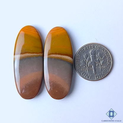 Polychrome Jasper