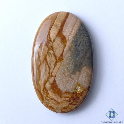 Polychrome Jasper