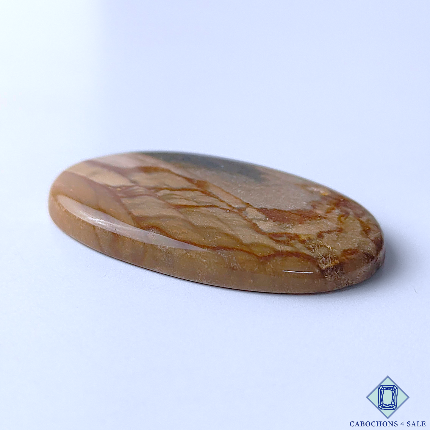 Polychrome Jasper