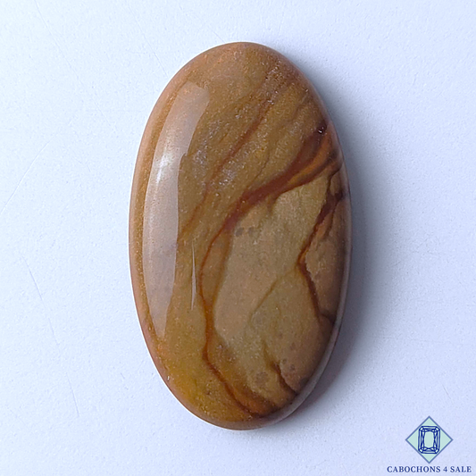 Polychrome Jasper