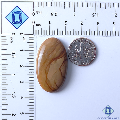 Polychrome Jasper