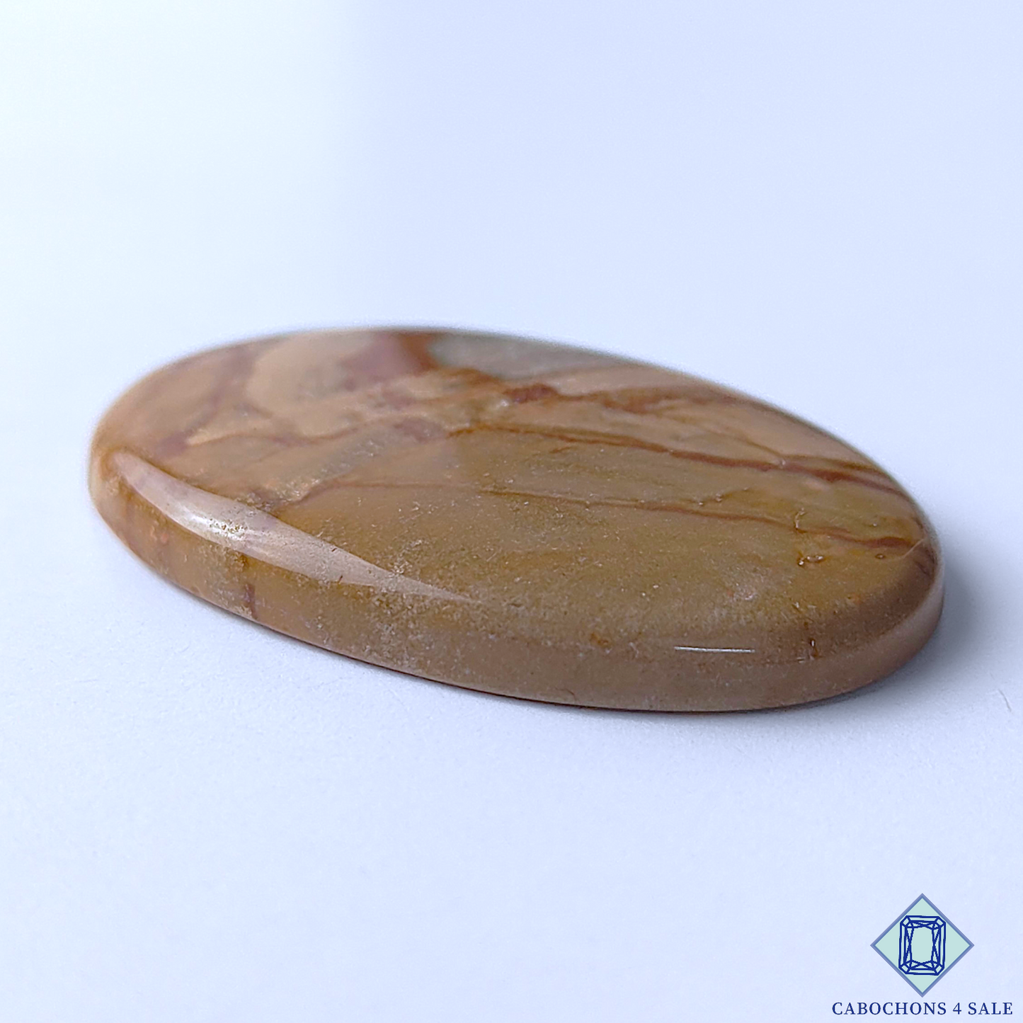 Polychrome Jasper