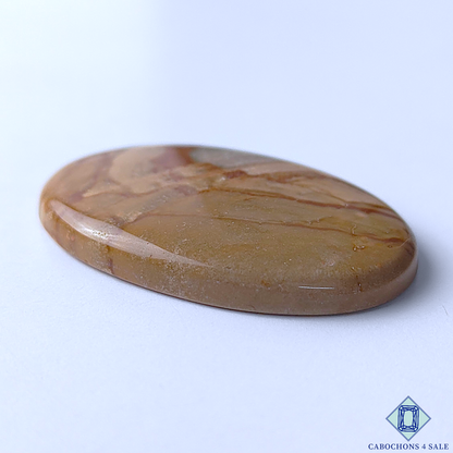 Polychrome Jasper