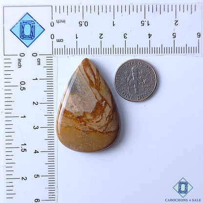 Polychrome Jasper