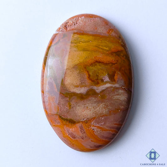 Polychrome Jasper