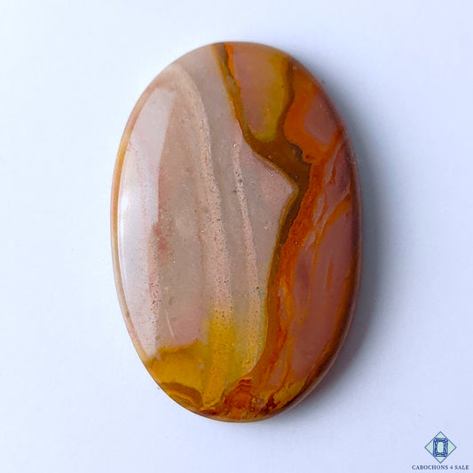 Polychrome Jasper