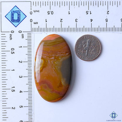 Polychrome Jasper