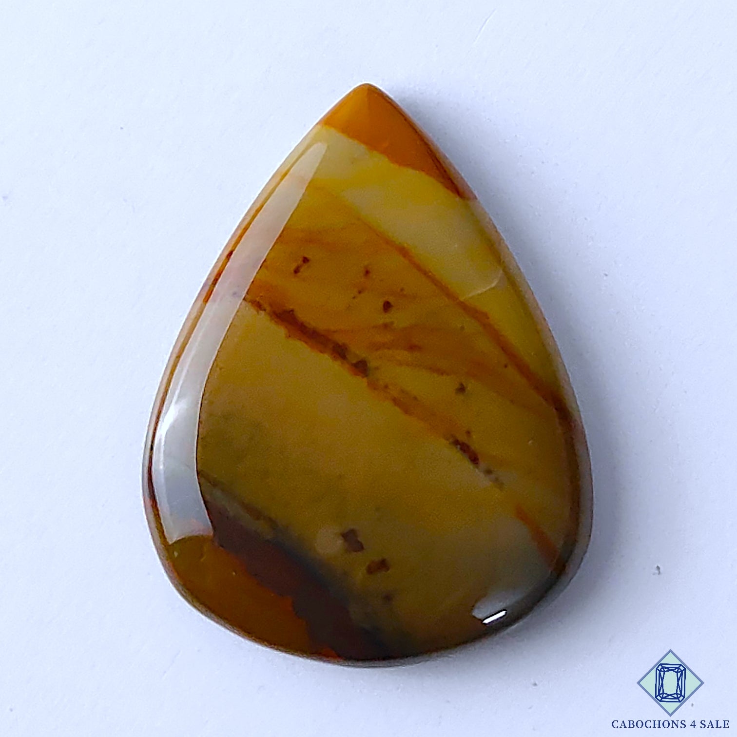 Polychrome Jasper