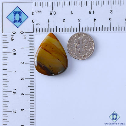 Polychrome Jasper