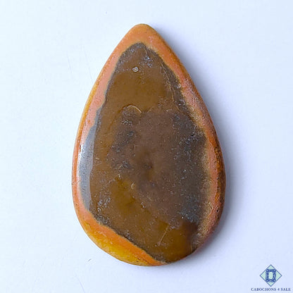Polychrome Jasper