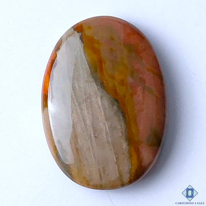 Polychrome Jasper