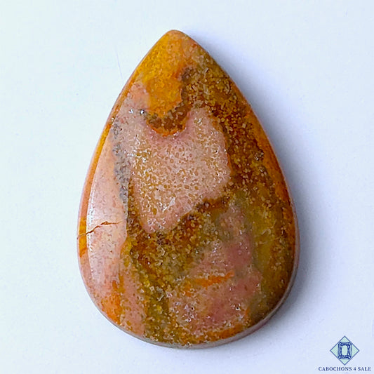 Polychrome Jasper