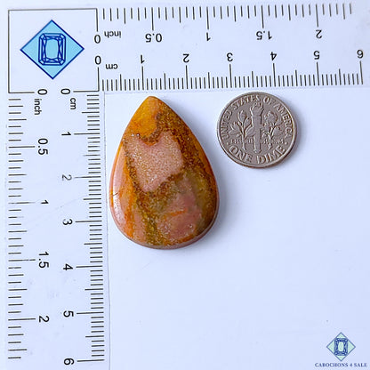 Polychrome Jasper