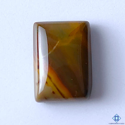 Polychrome Jasper