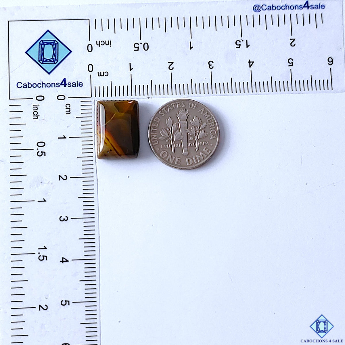 Polychrome Jasper